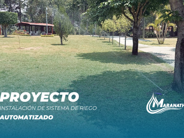 NOTICIAS MARANATHA (4)